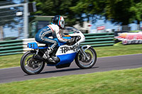 Vintage-motorcycle-club;eventdigitalimages;mallory-park;mallory-park-trackday-photographs;no-limits-trackdays;peter-wileman-photography;trackday-digital-images;trackday-photos;vmcc-festival-1000-bikes-photographs